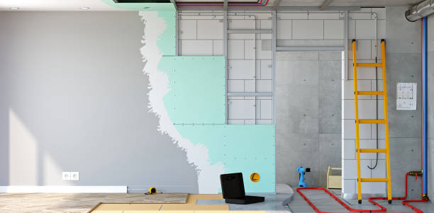 Mold Documentation for Insurance Claims in Wilkinsburg, PA