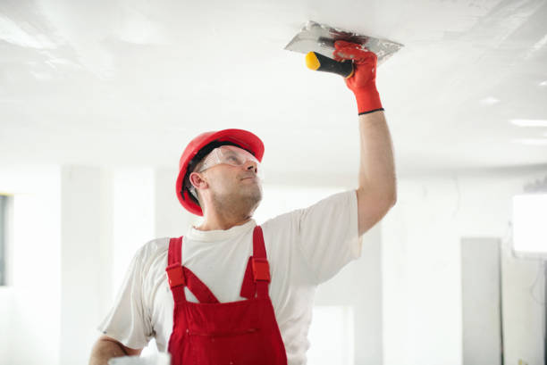Reliable Wilkinsburg, PA Mold Removal Solutions