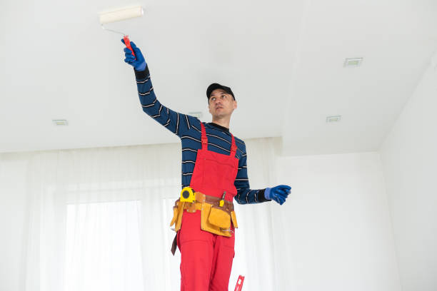 Biohazard Mold Removal in Wilkinsburg, PA